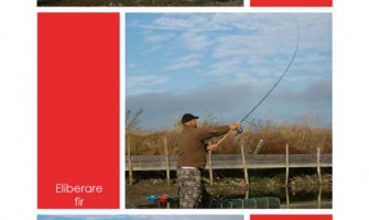 Tehnica lansarii la feeder